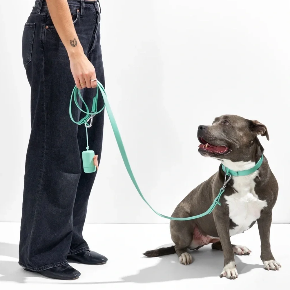 Wild One Dog Collar - L (15-18